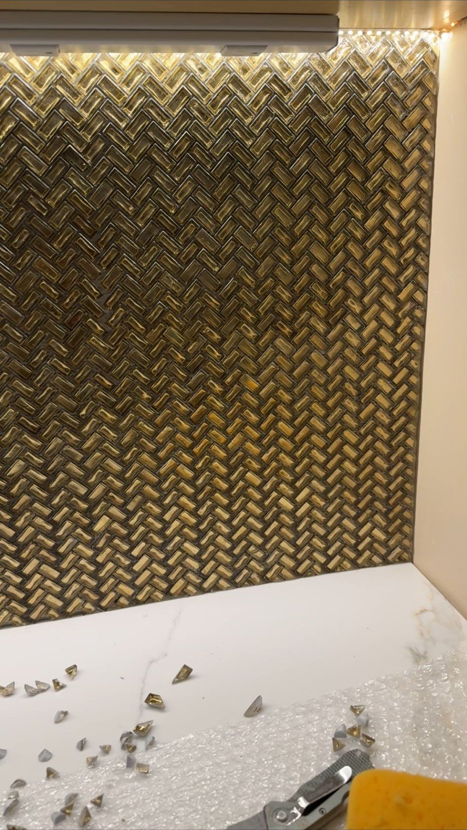 WhatsApp Image 2026-02-19 at 17.31.25